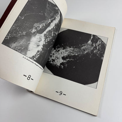 Gorka Lívia. Urbán Nagy Rozália elõszavával | Corvina műterem, 1979