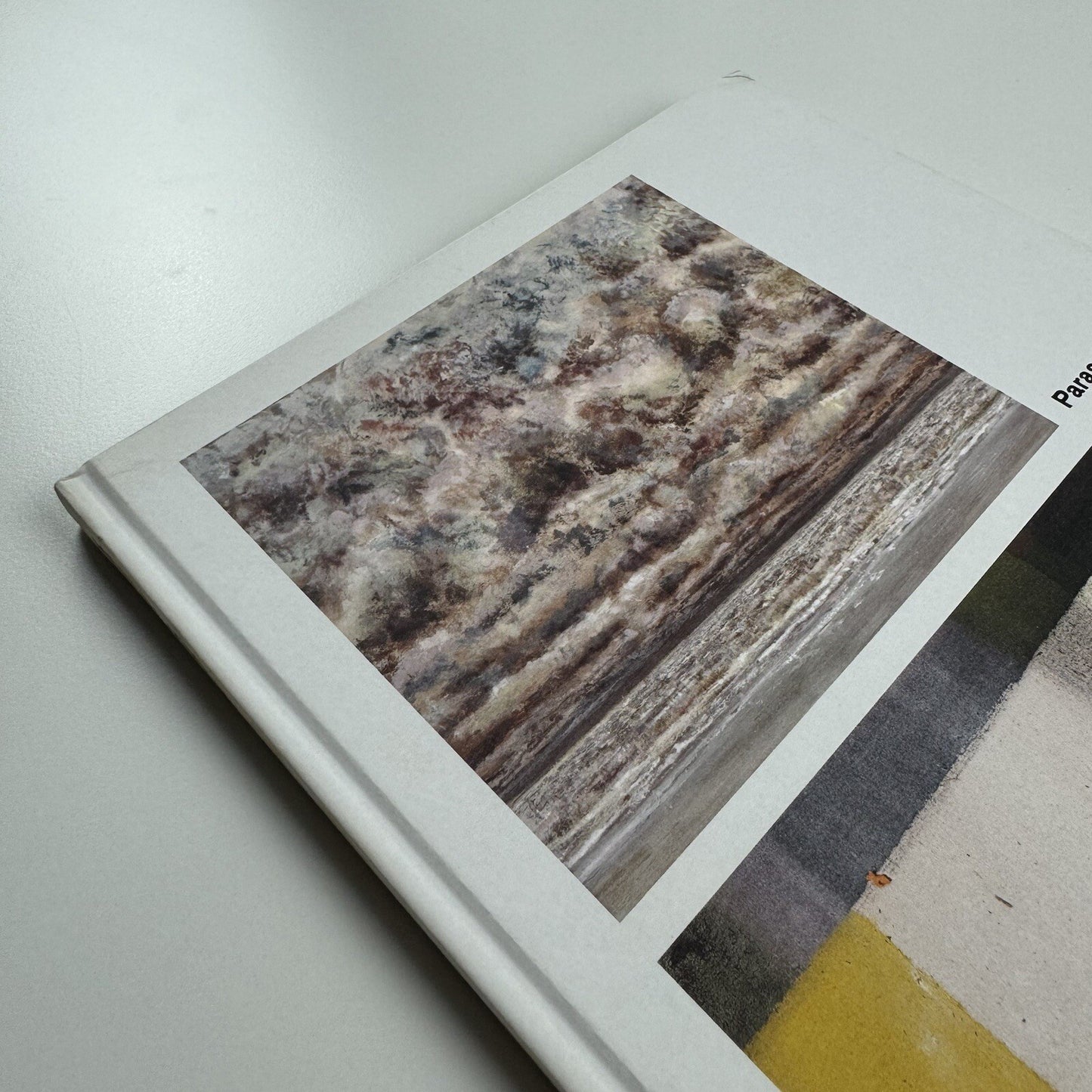 Merlin James | Parasol unit, London 2013 exhibition catalogue