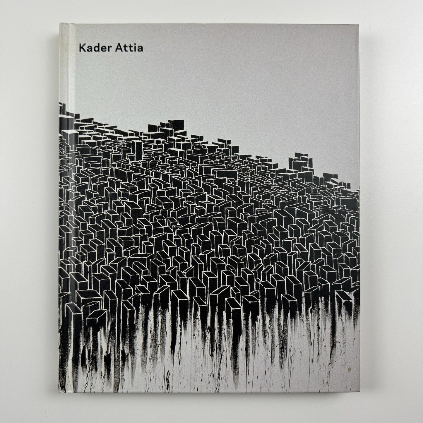 Kader Attia | Musée Art Contemporain, Lyon 2006 catalogue