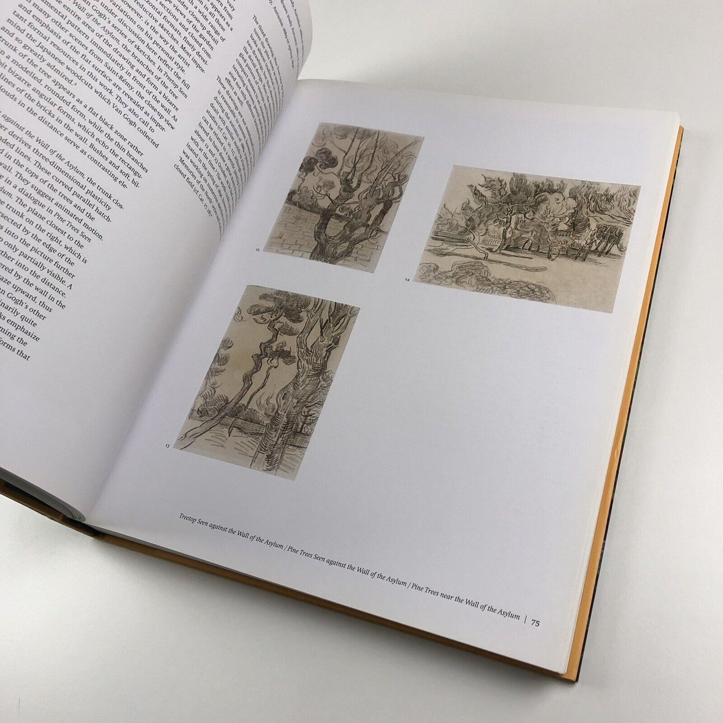 Van Gogh: Fields. The Field with Poppies and the Artists’ Dispute | Edited by Wulf Herzogenrath and Dorothee Hansen | Hatje Cantz, 2002