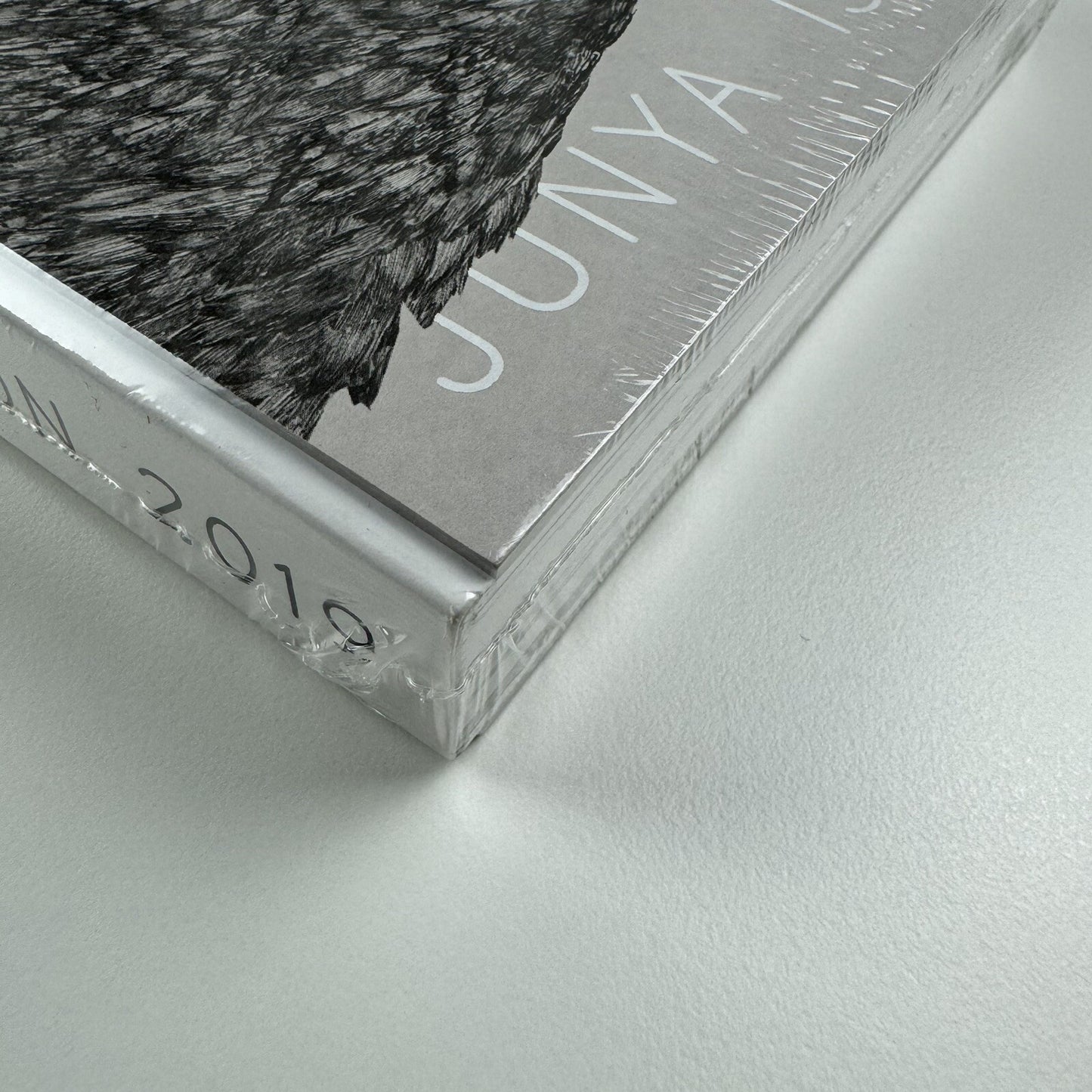 Junya Ishigami. Serpentine Pavilion 2019 | Koenig Books, 2019