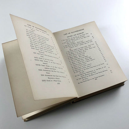 Human Anatomy for Art Students by Sir Alfred Fripp and Ralph Thompson 1911