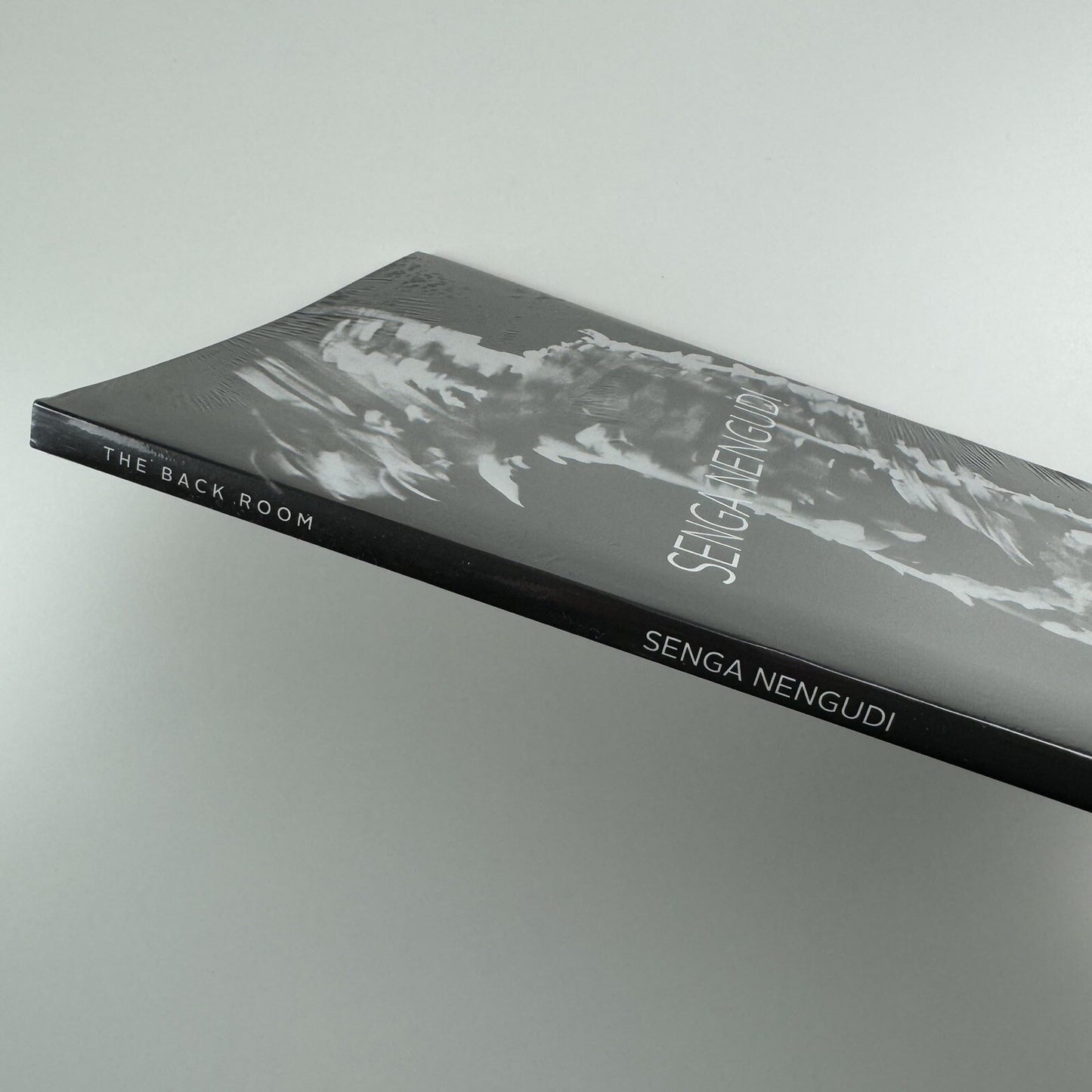 Senga Nengudi. The Back Room | Bradley Rizcana et al Dominque Lévy, 2016 catalogue