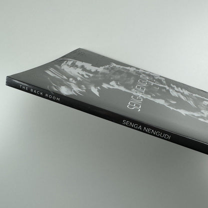 Senga Nengudi. The Back Room | Bradley Rizcana et al Dominque Lévy, 2016 catalogue