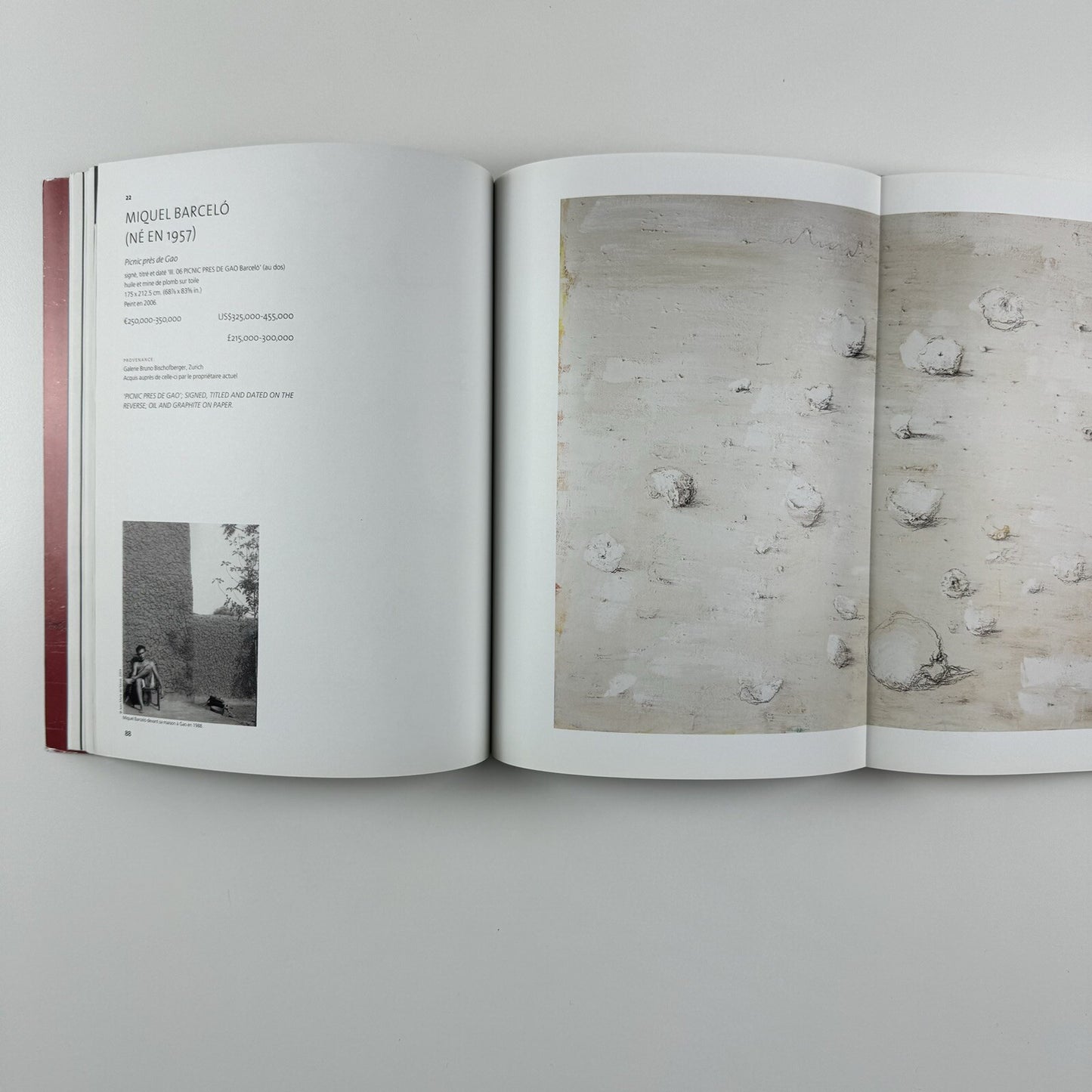 Art Contemporain | Christie's Paris 4 June 2013 sale reference 3551