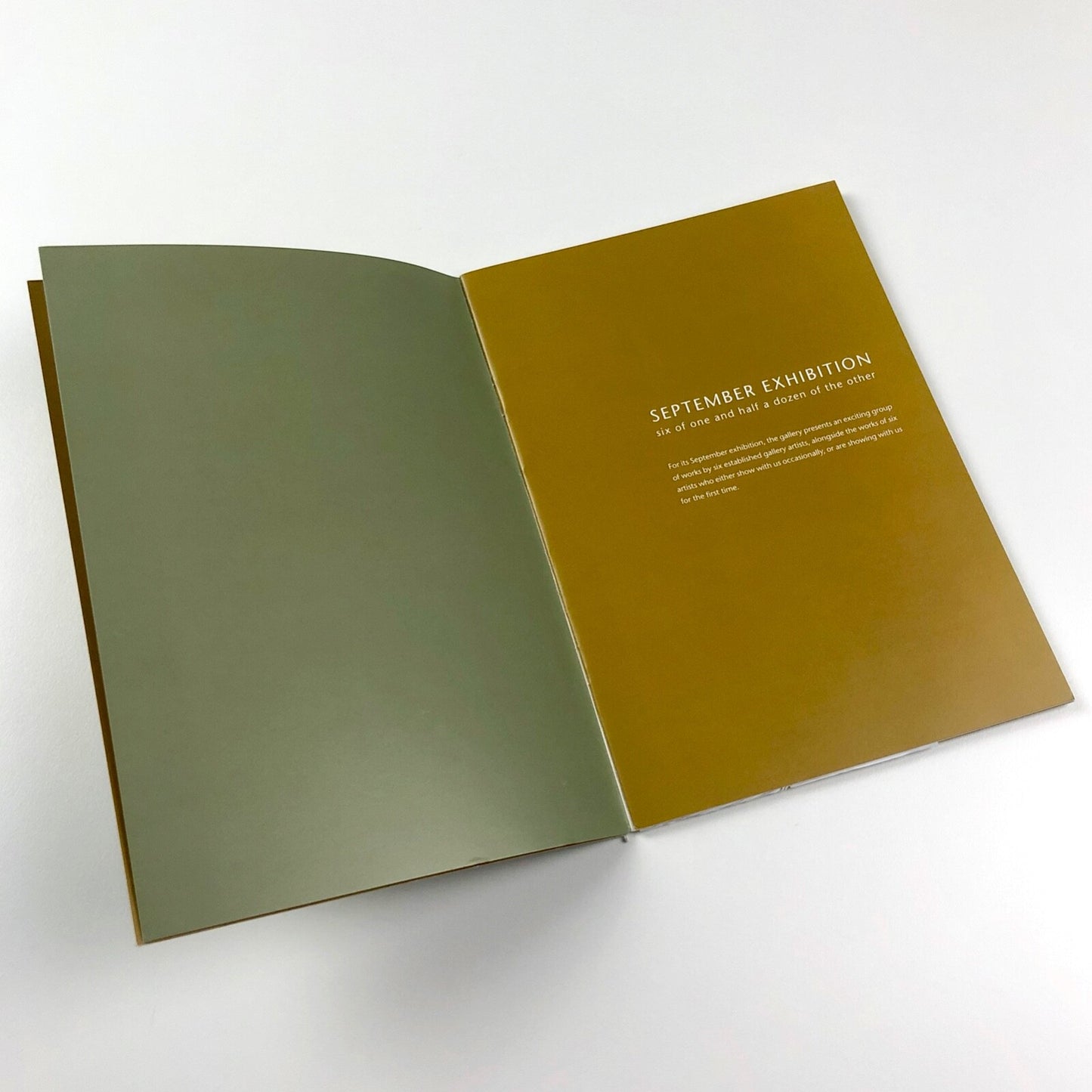 Six of one and half a dozen of the other group exhibition | Belgrave Gallery catalogue, 2008