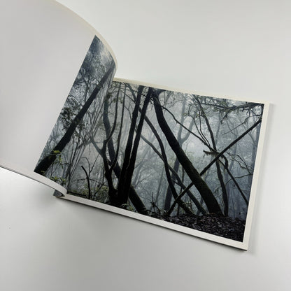 Axel Hütte. Out of Darkness | Waddington Galleries London, 2009 catalogue