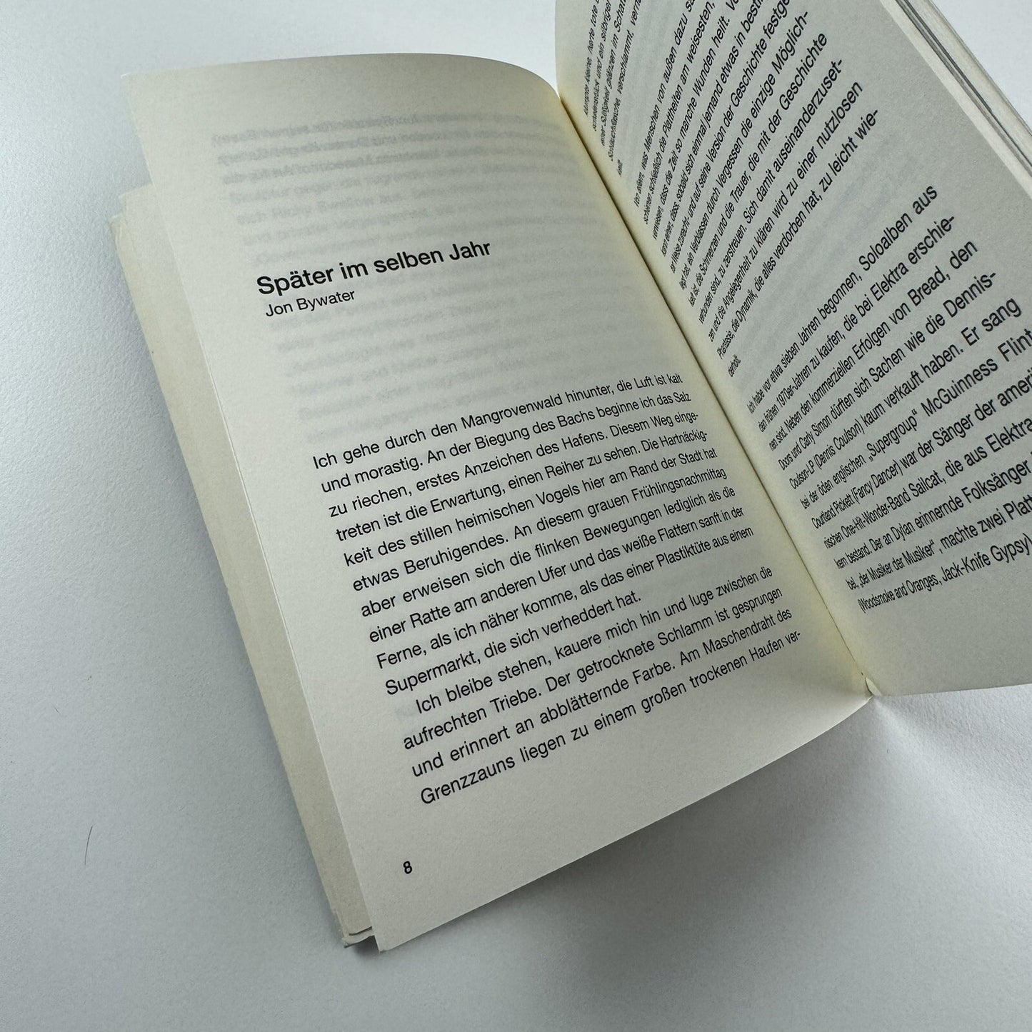 Ricky Swallow. Younger Than Yesterday | Kunsthalle Wien 2007 catalogue