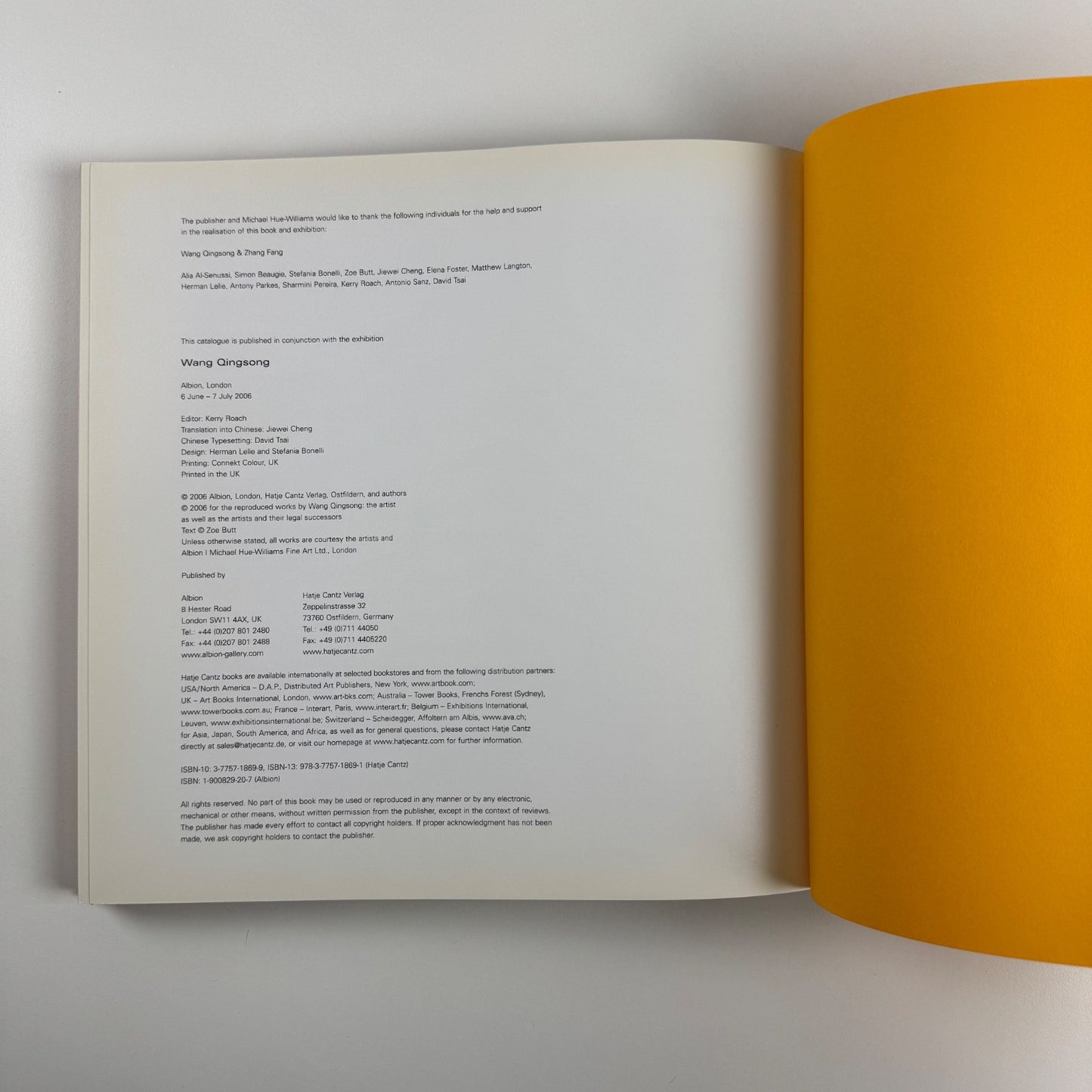 Wang Quingsong | Albion, London, 2006
