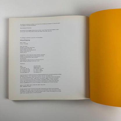 Wang Quingsong | Albion, London, 2006