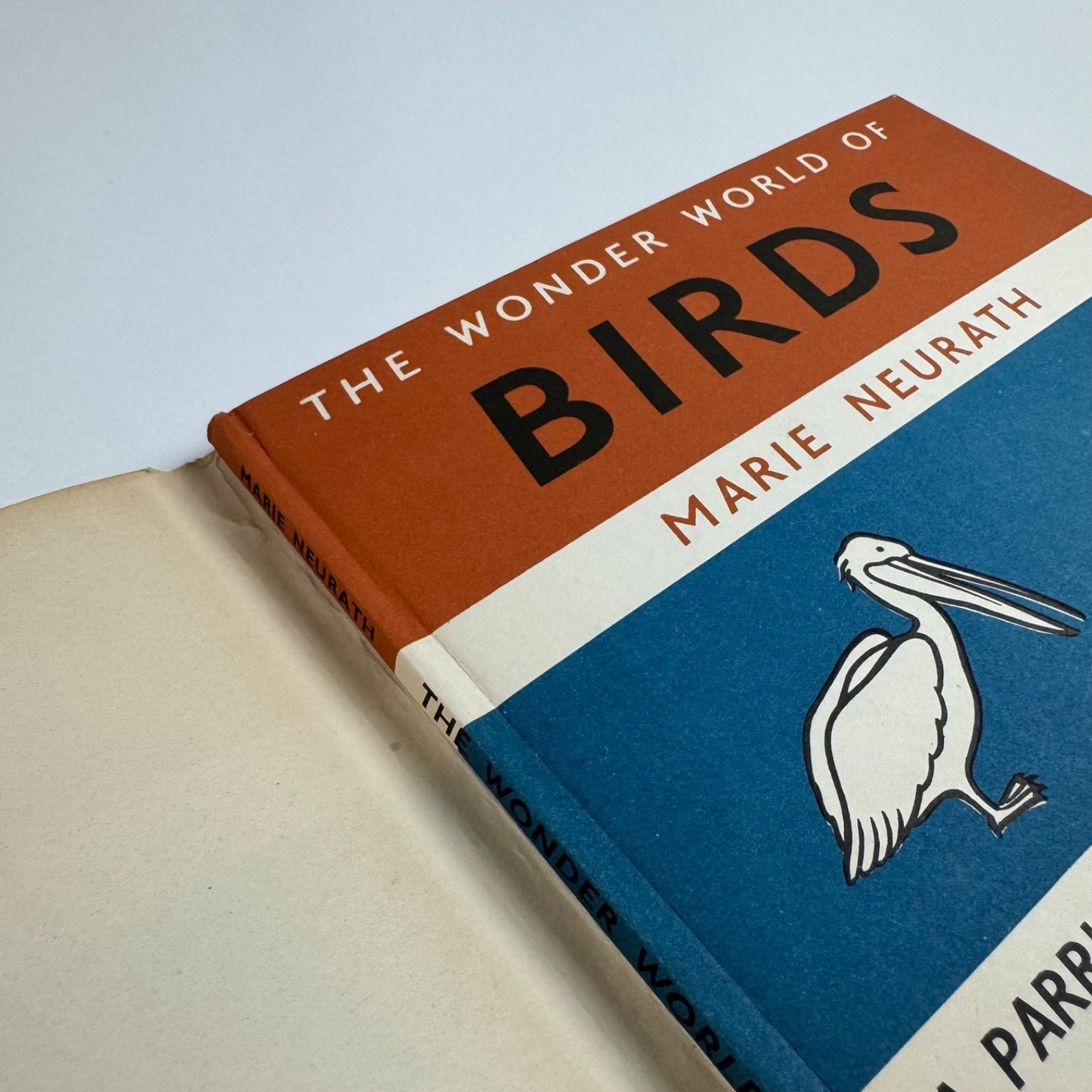 The Wonder World of Birds by Marie Neurath | Max Parrish, 1953 Isotype Institute