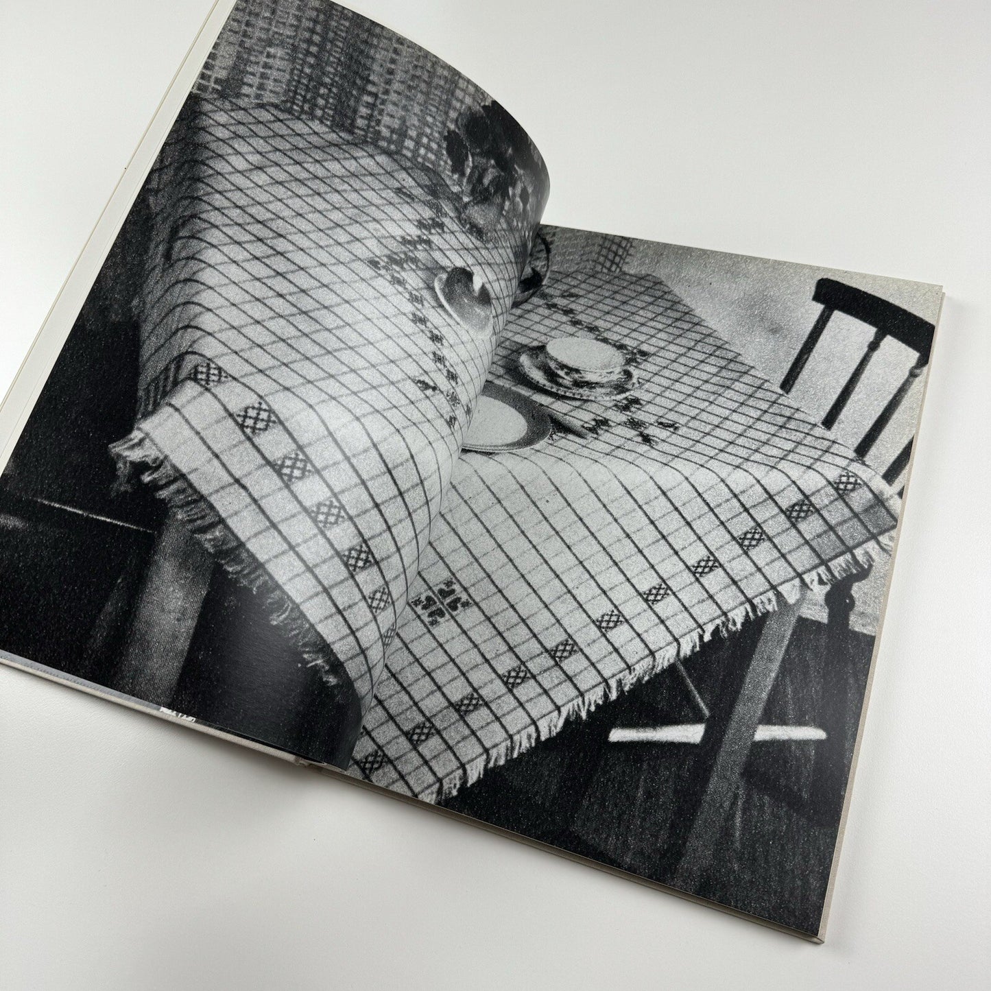 Håvard Homstvedt: You Will Hardly Know | Galleri Riis, 2008 catalogue