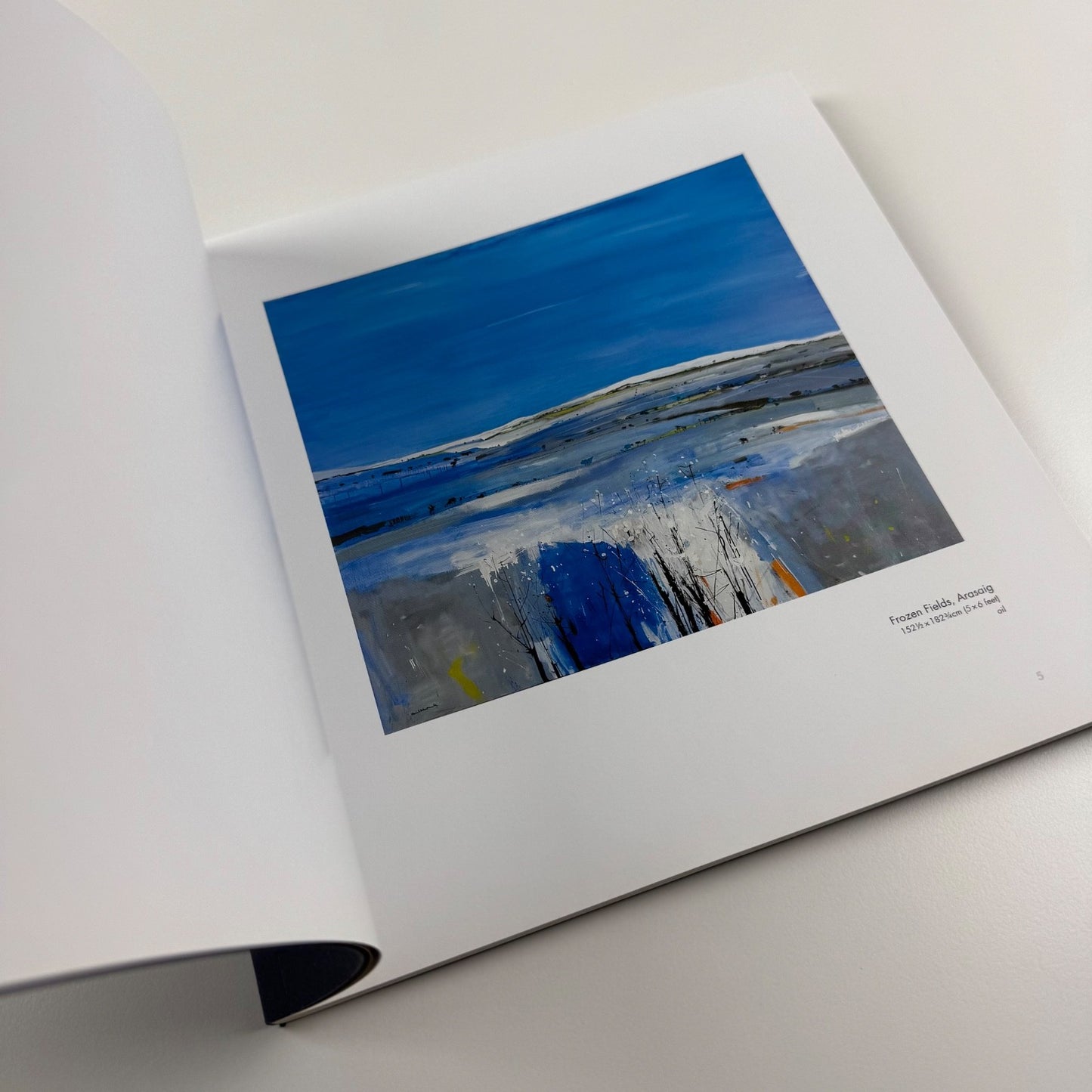 Hamish MacDonald. Barra and Beyond | Lemon Street Gallery, 2007