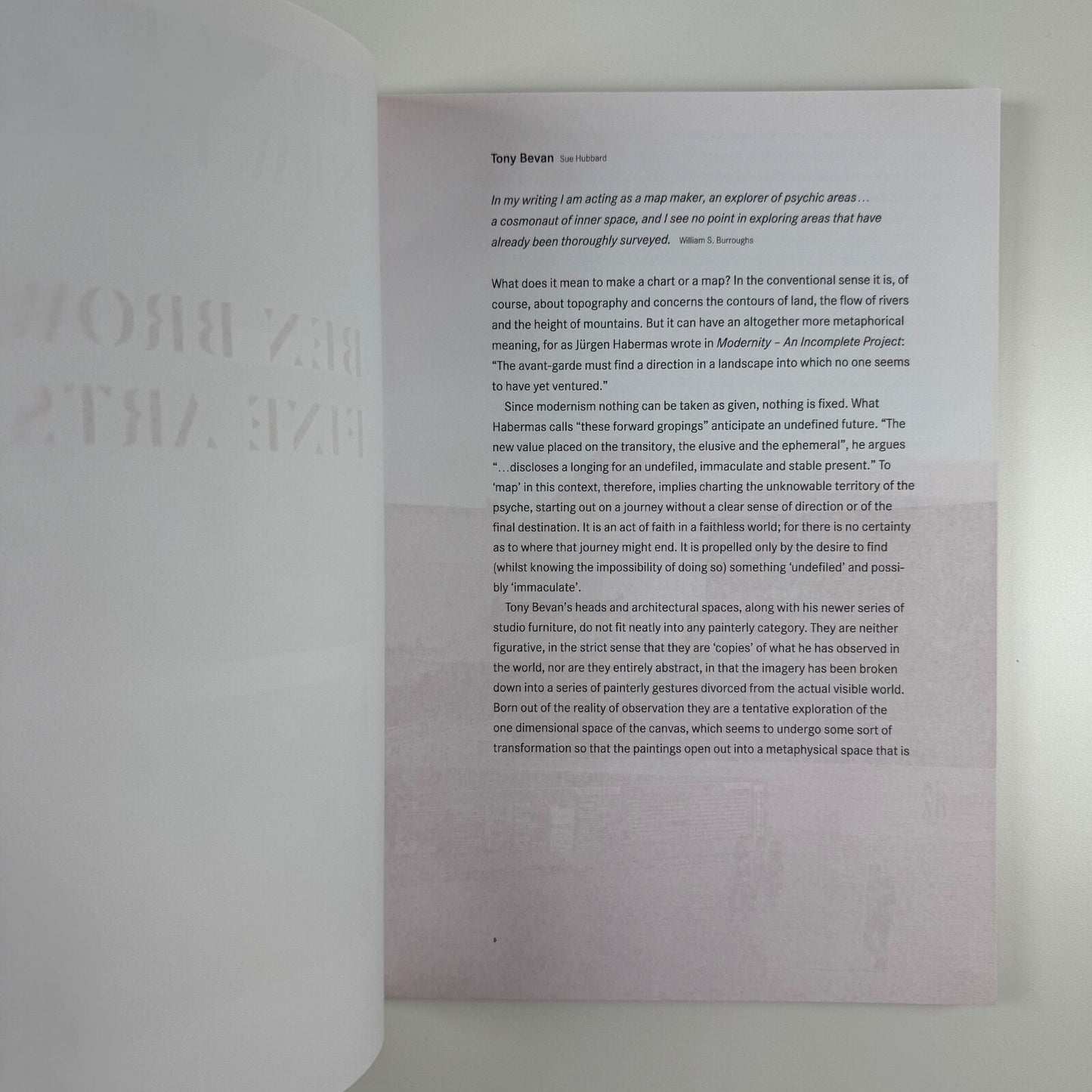 Tony Bevan. New Paintings | Ben Brown Fine Arts, 2008