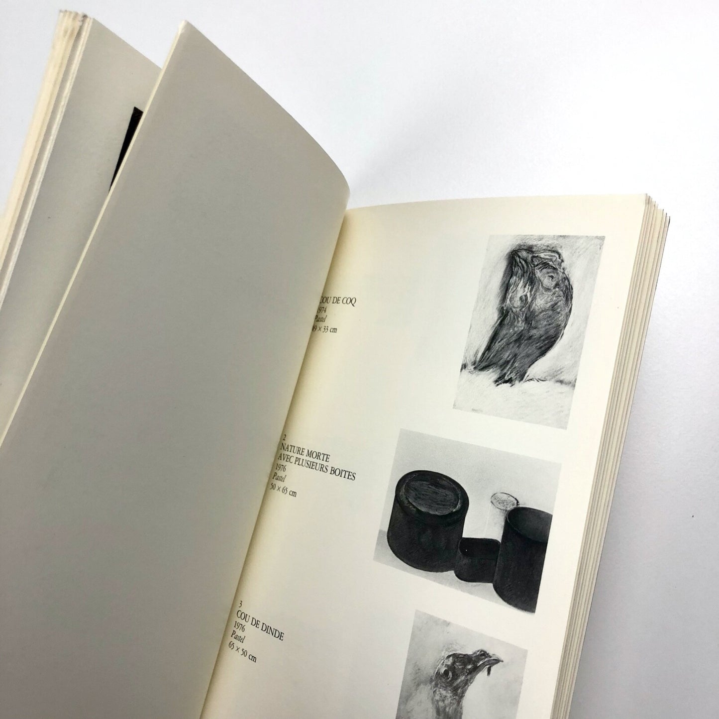 Barbatre. Pastels et Dessins | Berggruen Paris exhibition catalogue, 1984