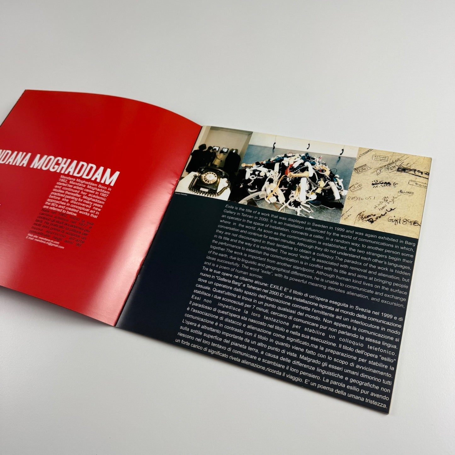 51st International Venice Biennale Iranian Institute for Promotion of Visual Art