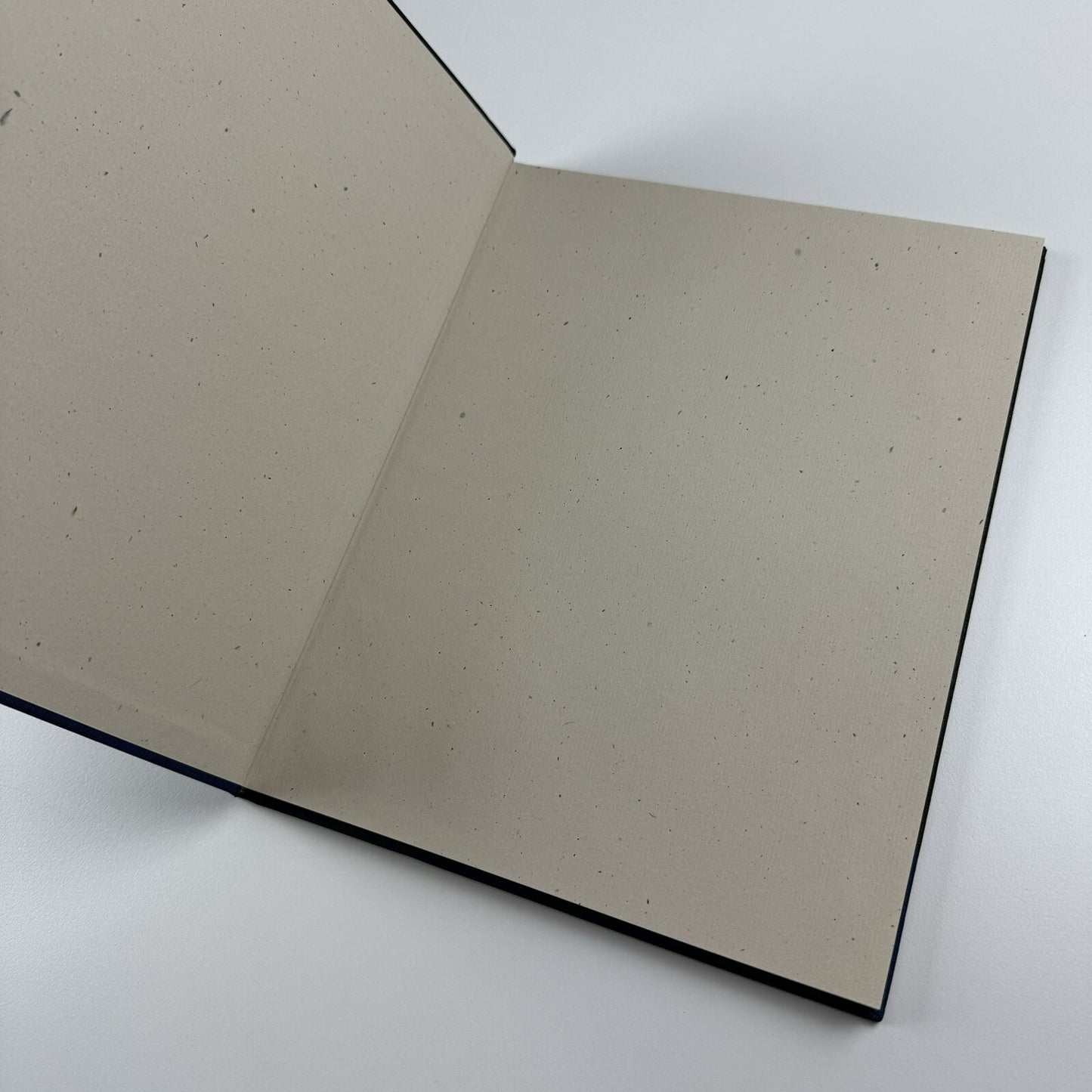 Matthias Schaller. Controfacciata | Ben Brown Fine Arts exhibition catalogue, 2008