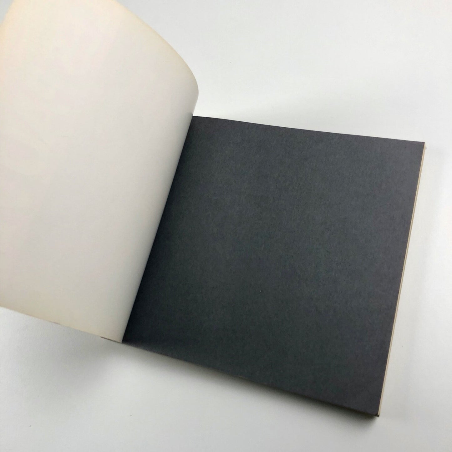 Exposition les Fauves | Galeries Seibu, Tokyo & Kanazawa exhibition catalogue, 1974