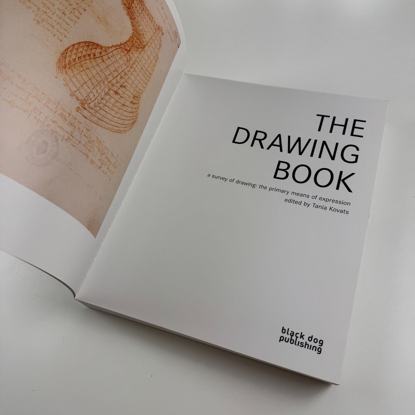The Drawing Book. A survey of the primary means of expression ed Tania Kovats