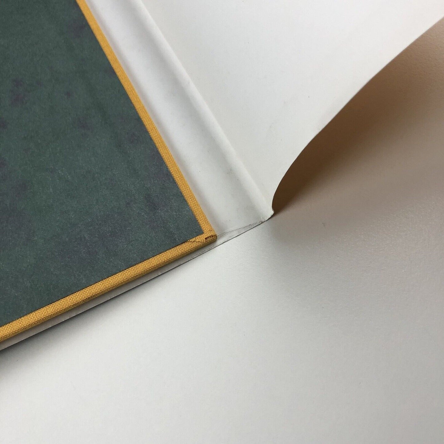 Van Gogh: Fields. The Field with Poppies and the Artists’ Dispute | Edited by Wulf Herzogenrath and Dorothee Hansen | Hatje Cantz, 2002