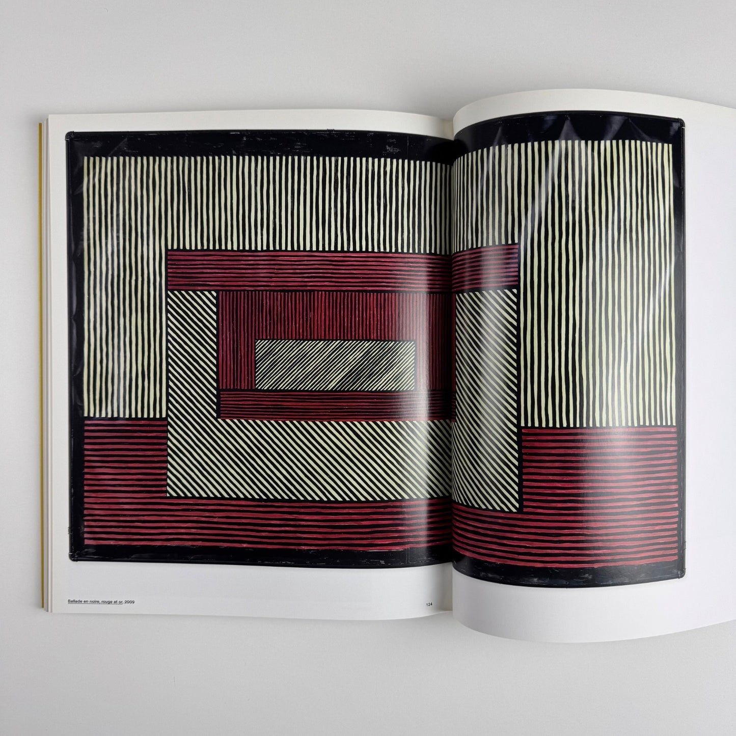 Valentin Carron | Galerie Eva Presenhuber, JRP Ringier, 2011