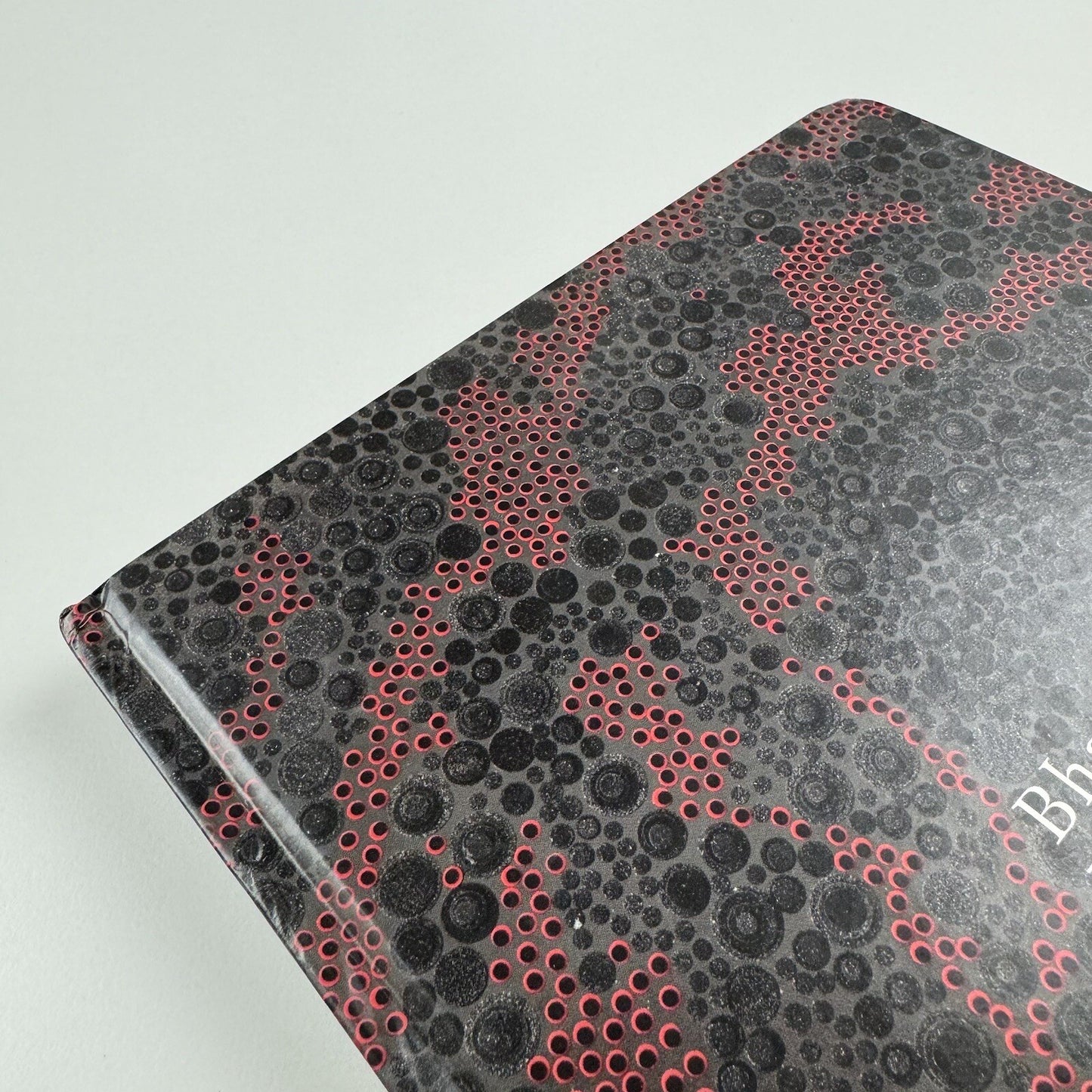 Bharti Kher – Blind, eyes open | Galerie Perrotin 2012 catalogue
