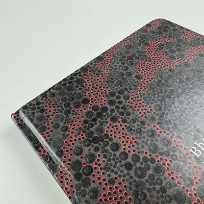 Bharti Kher – Blind, eyes open | Galerie Perrotin 2012 catalogue