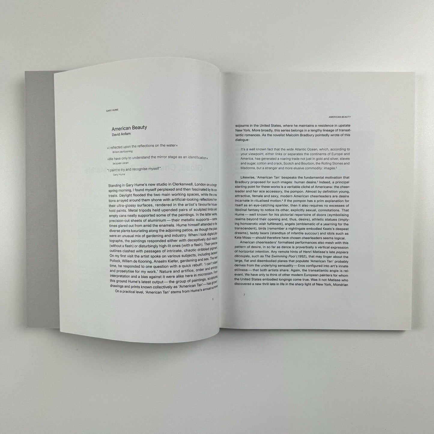 Gary Hume. American Tan | White Cube, London, 2007