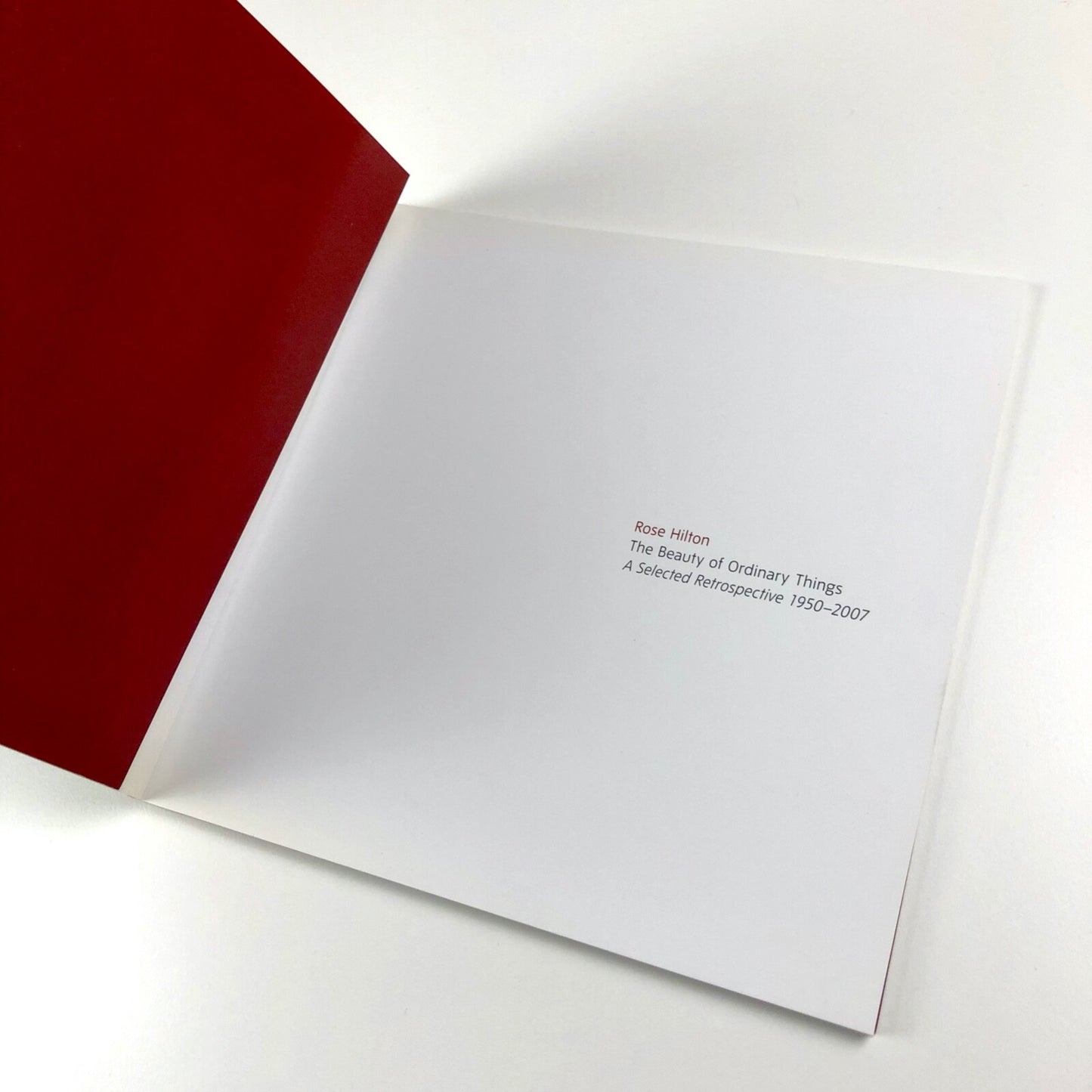 Rose Hilton – The Beauty of Ordinary Things | Tate catalogue, 2008