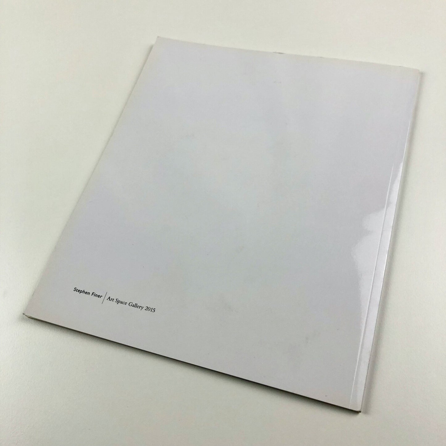Stephen Finer. Merlyn Driver recording & other paintings | Art Space Gallery catalogue, 2015