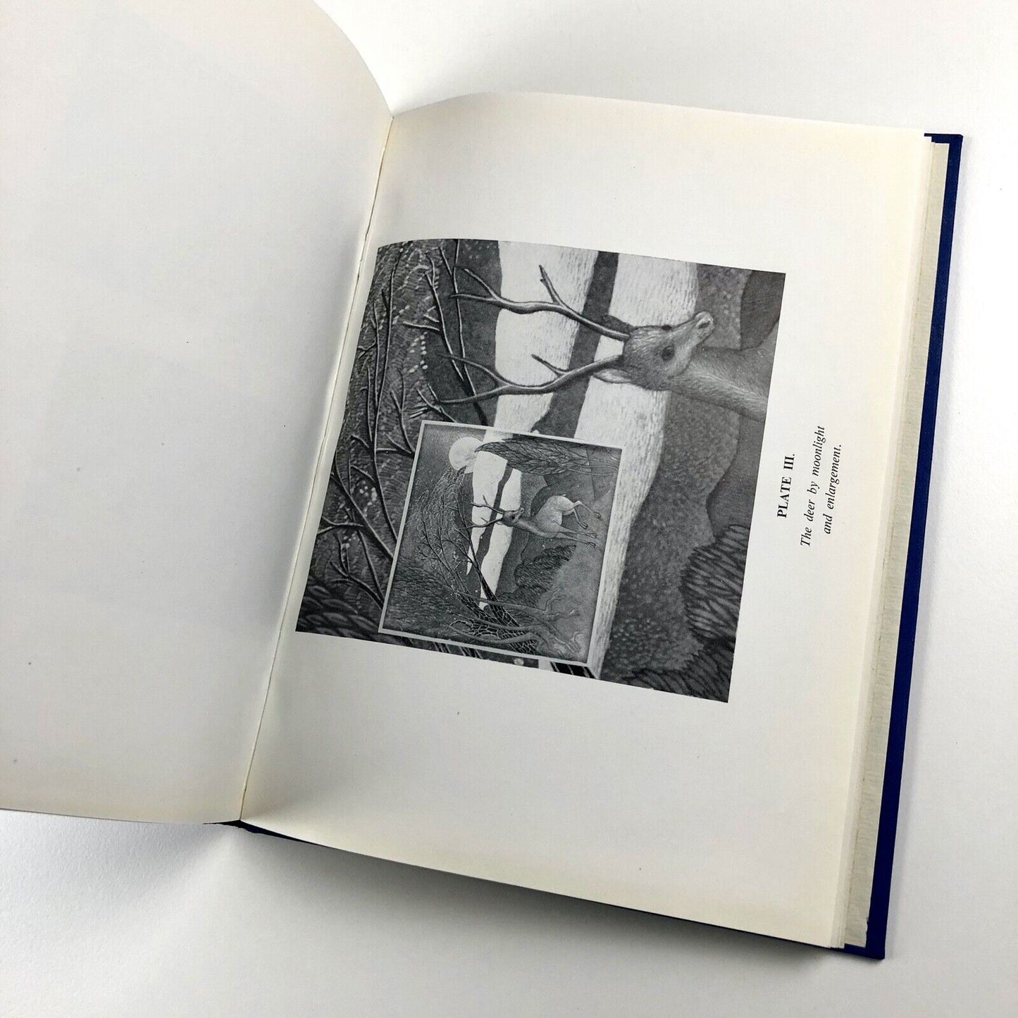 The Art of Raymond Lister by Simon Lissim, 1958, signed by Raymond Lister