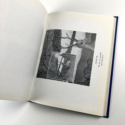 The Art of Raymond Lister by Simon Lissim, 1958, signed by Raymond Lister