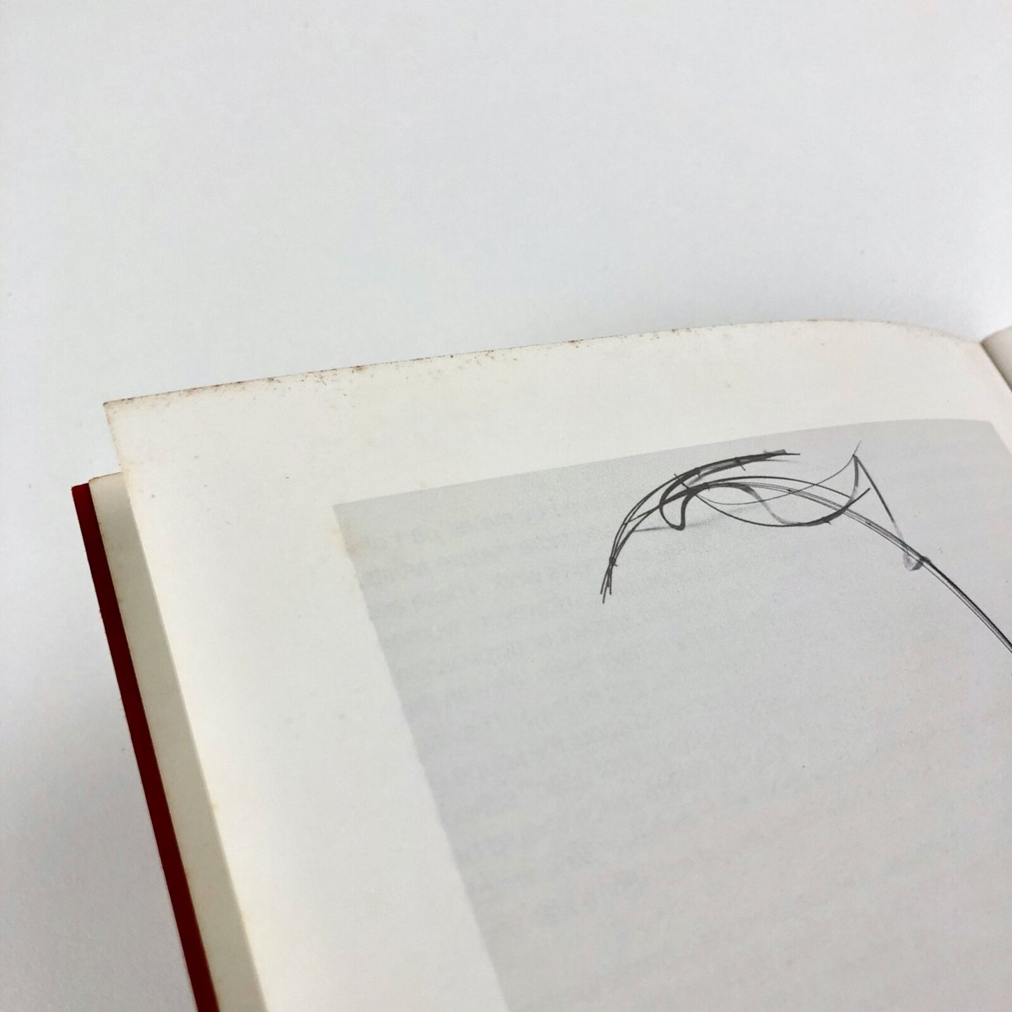 Eight Artists – Women: 1980 | The Acme Gallery London, catalogue