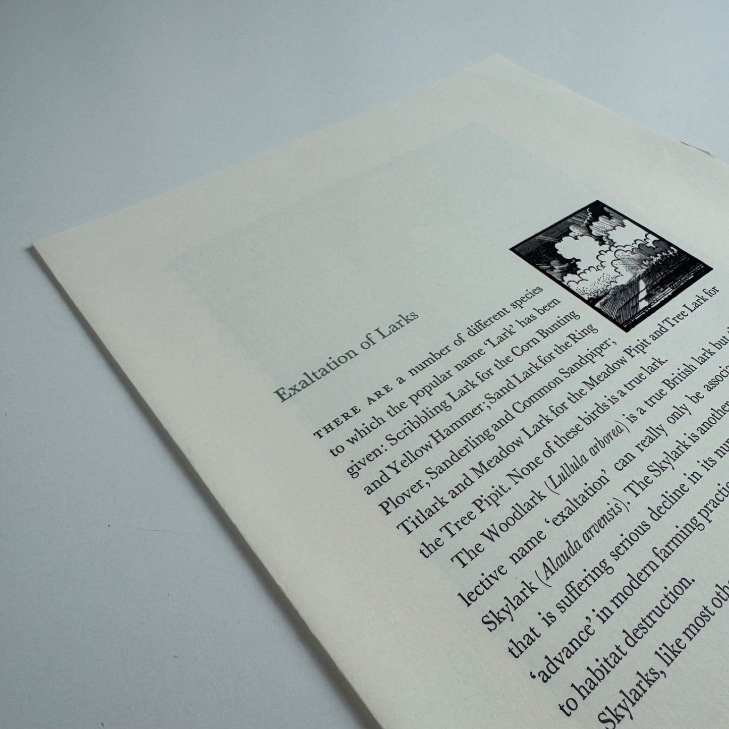 Prospectus for Exaltation of Larks | Of a Feather by Colin See-Paynton | Gregynog Press, 2008
