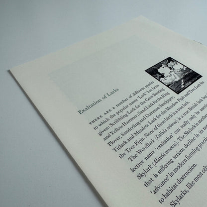 Prospectus for Exaltation of Larks | Of a Feather by Colin See-Paynton | Gregynog Press, 2008