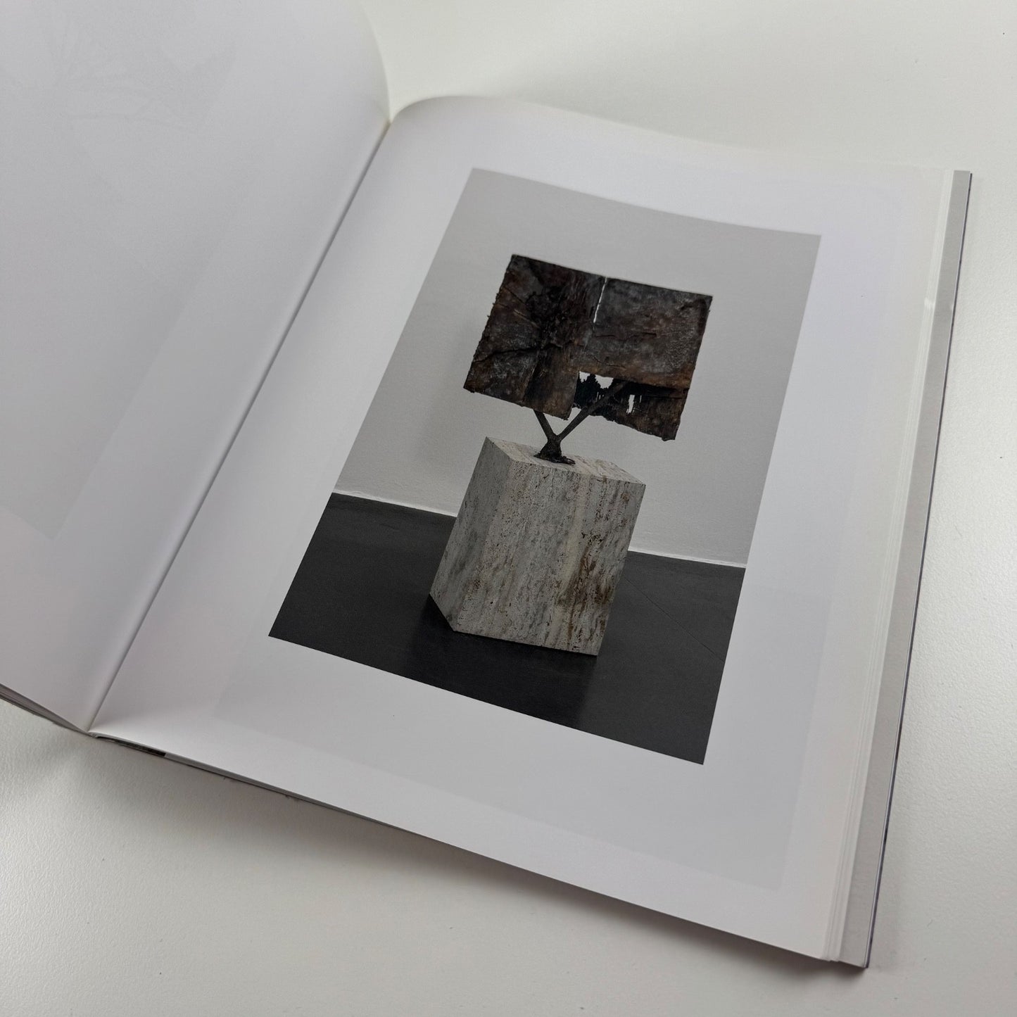 Anthony James. Morphic Fields - Skulpturen | Hatje Cantz, 2014