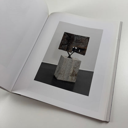 Anthony James. Morphic Fields - Skulpturen | Hatje Cantz, 2014
