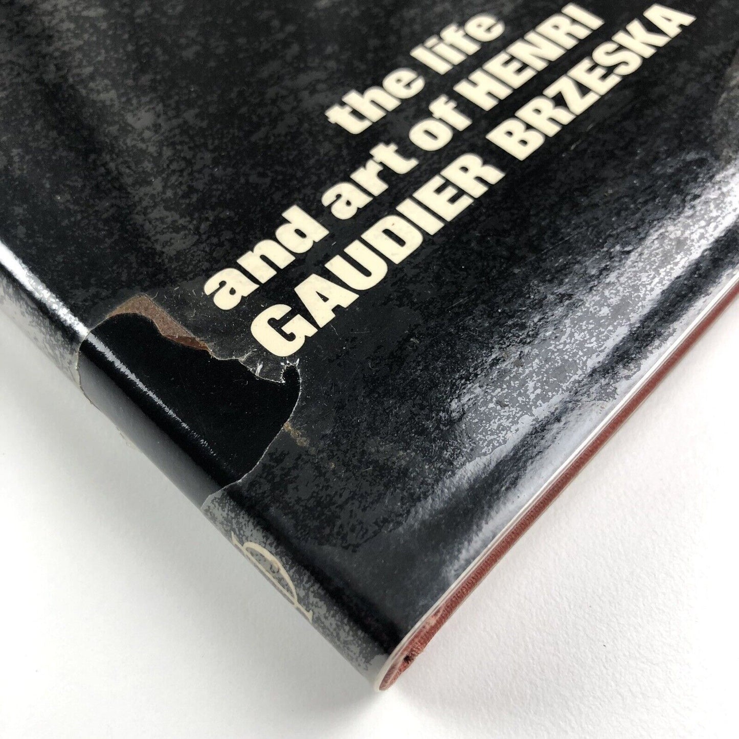 Burning to Speak – The Life and Art of Henri Gaudier Brzeska, by Roger Cole | Phaidon, 1978