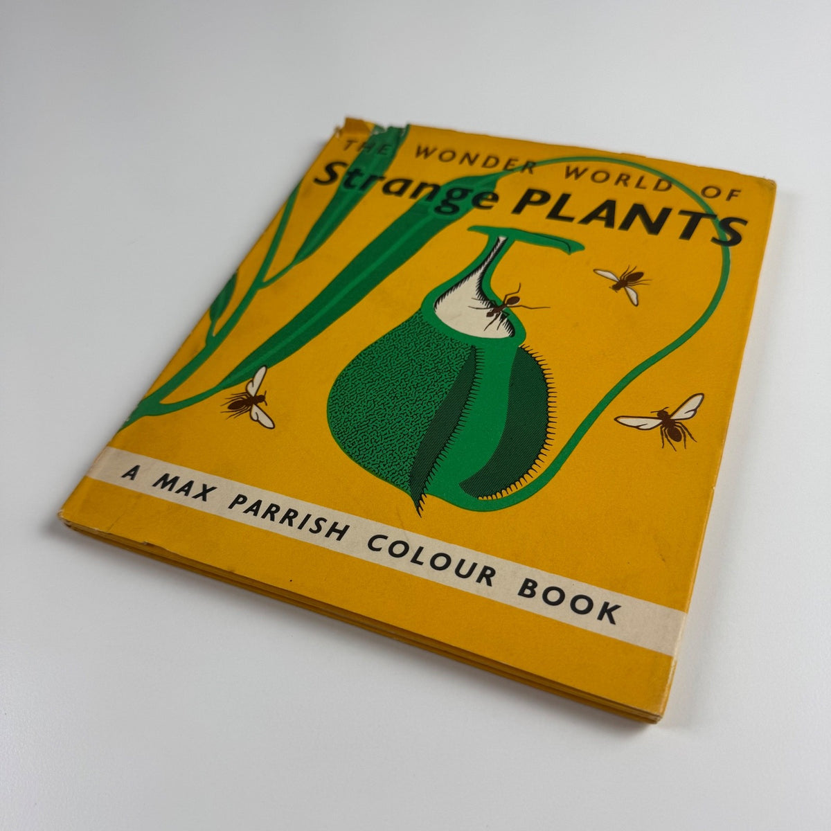 The Wonder World of Strange Plants by Marie Neurath | Max Parrish, 1956 Isotype Institute