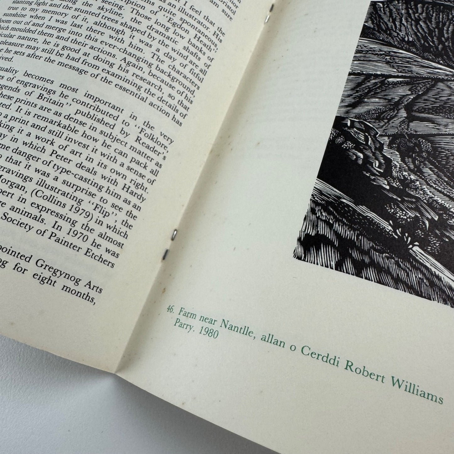 Peter Reddick. Gregynog Fellow 1979-80 | Welsh Arts Council, 1981