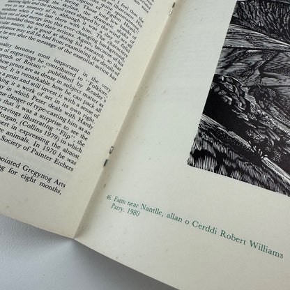 Peter Reddick. Gregynog Fellow 1979-80 | Welsh Arts Council, 1981