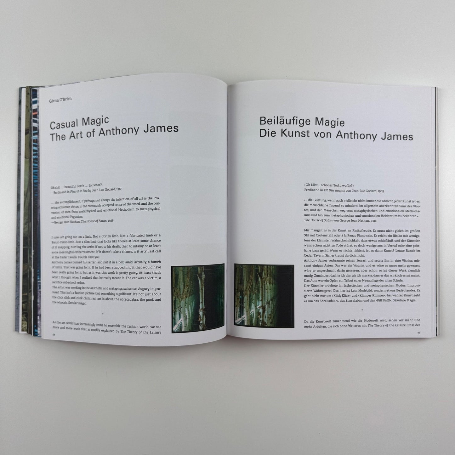 Anthony James. Morphic Fields - Skulpturen | Hatje Cantz, 2014