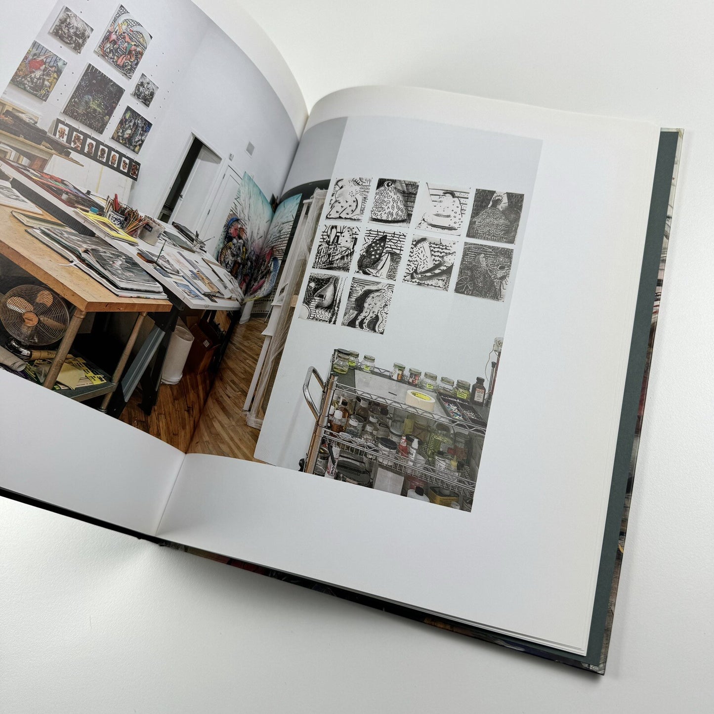 Ali Banisadr: In Medias Res | Galerie Thaddaeus Ropac text Philippe Dagen | 2015 catalogue