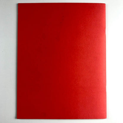 Ian Stephenson 1934 – 2000 | Roche Court Sculpture Park catalogue, 2005