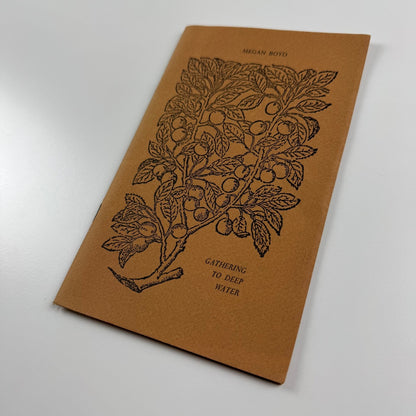 Poems Return to Spring & Gathering to Deep Water by Scott Chaskey | Megan Boyd | David Stevens printer, Quay Books, 1988