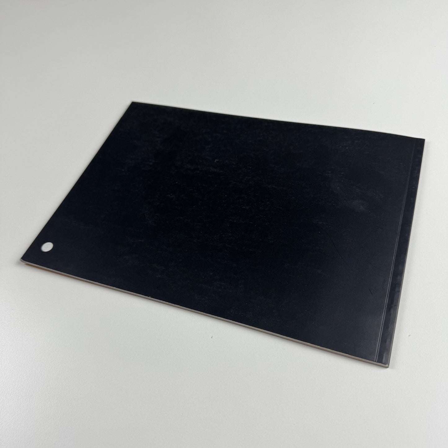 Andrew Stones. Crowd Control | Site Gallery Sheffield, 1996