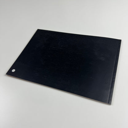 Andrew Stones. Crowd Control | Site Gallery Sheffield, 1996