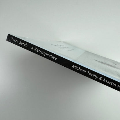 Terry Setch. A Retrospective by Michael Tooby & Martin Holman | Howard Gardens Gallery, 2001