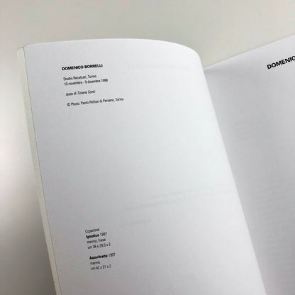 Domenico Borrelli exhibition catalogue | Studio Recalcati, Torino, 1998