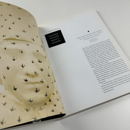 Håvard Homstvedt: You Will Hardly Know | Galleri Riis, 2008 catalogue